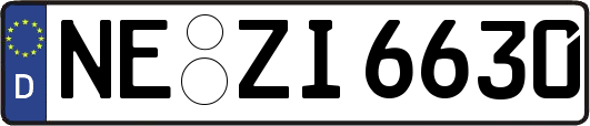NE-ZI6630