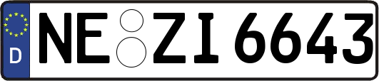 NE-ZI6643