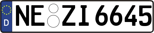 NE-ZI6645
