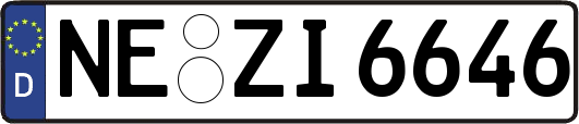 NE-ZI6646