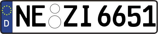 NE-ZI6651