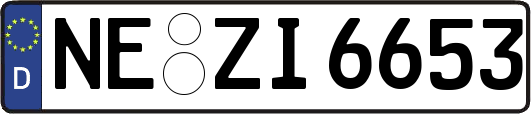 NE-ZI6653