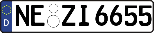 NE-ZI6655