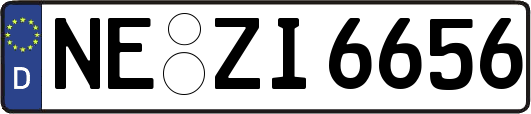 NE-ZI6656