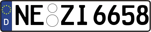 NE-ZI6658
