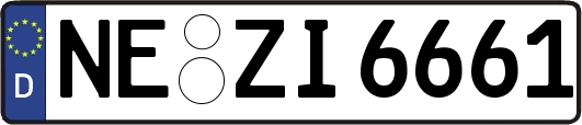 NE-ZI6661