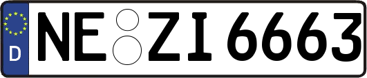 NE-ZI6663