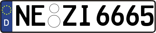 NE-ZI6665