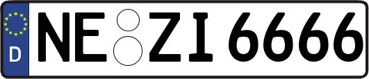NE-ZI6666