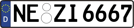 NE-ZI6667