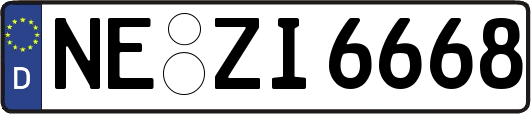 NE-ZI6668