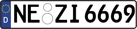 NE-ZI6669