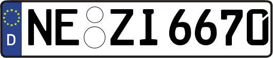 NE-ZI6670