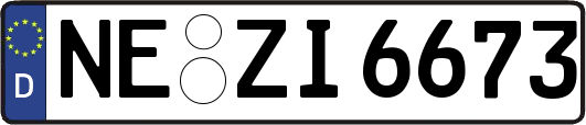 NE-ZI6673