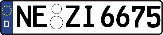 NE-ZI6675