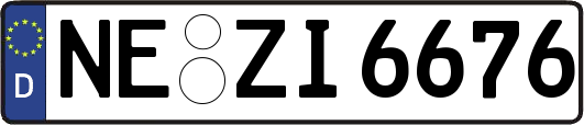 NE-ZI6676
