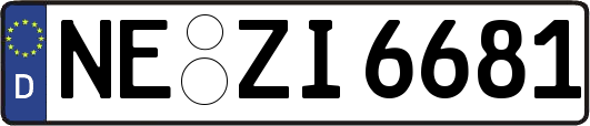 NE-ZI6681