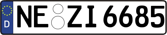 NE-ZI6685