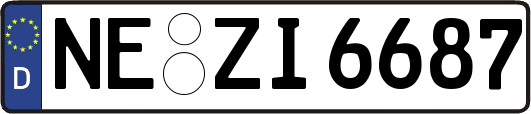 NE-ZI6687