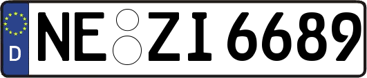 NE-ZI6689
