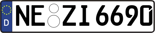 NE-ZI6690