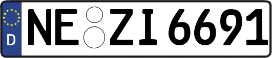 NE-ZI6691