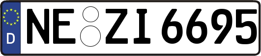 NE-ZI6695