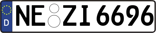 NE-ZI6696