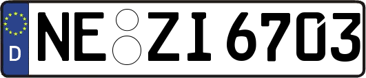NE-ZI6703
