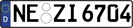 NE-ZI6704