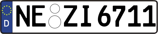 NE-ZI6711