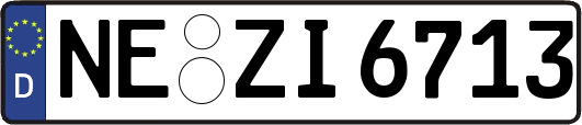 NE-ZI6713