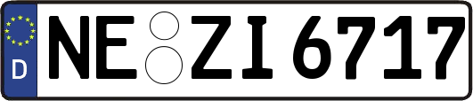 NE-ZI6717