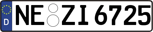 NE-ZI6725