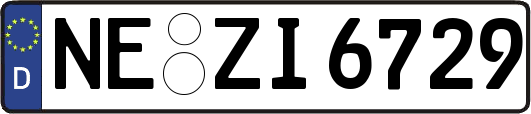 NE-ZI6729