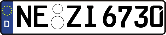 NE-ZI6730