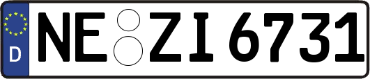 NE-ZI6731