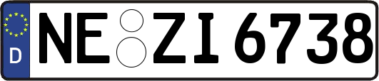NE-ZI6738
