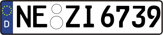 NE-ZI6739