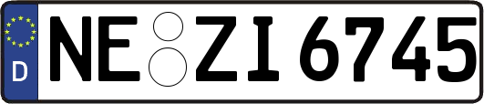 NE-ZI6745