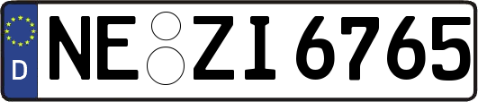 NE-ZI6765