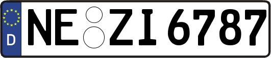 NE-ZI6787