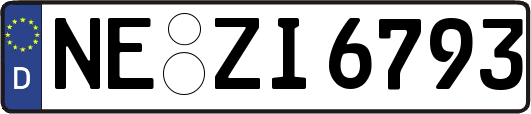 NE-ZI6793