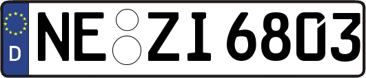 NE-ZI6803