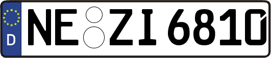 NE-ZI6810