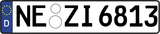 NE-ZI6813