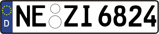 NE-ZI6824