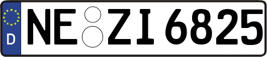 NE-ZI6825