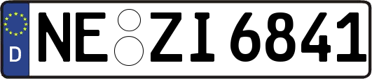 NE-ZI6841