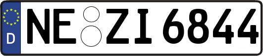 NE-ZI6844